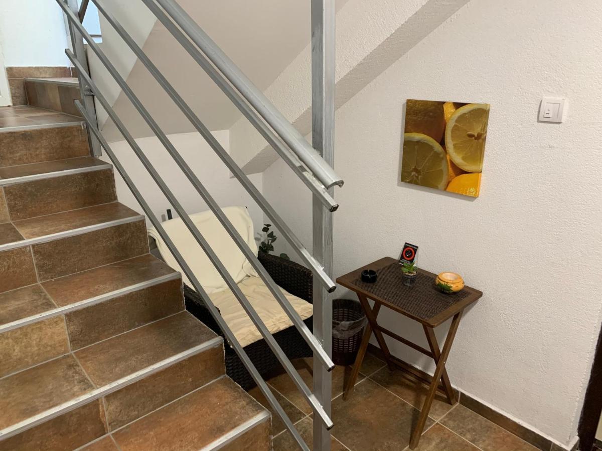 A6 Apartment نوفي ساد المظهر الخارجي الصورة