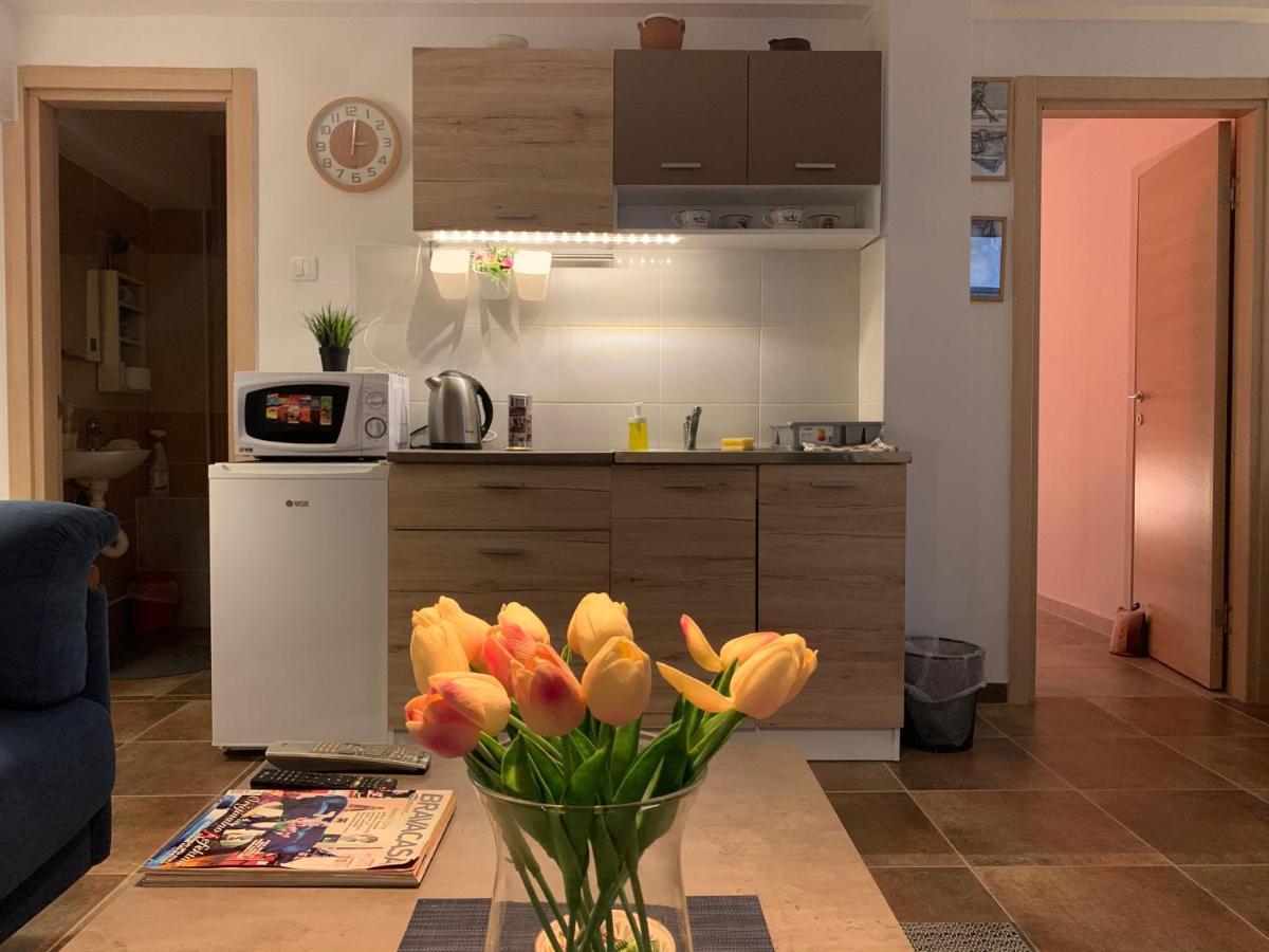 A6 Apartment نوفي ساد المظهر الخارجي الصورة