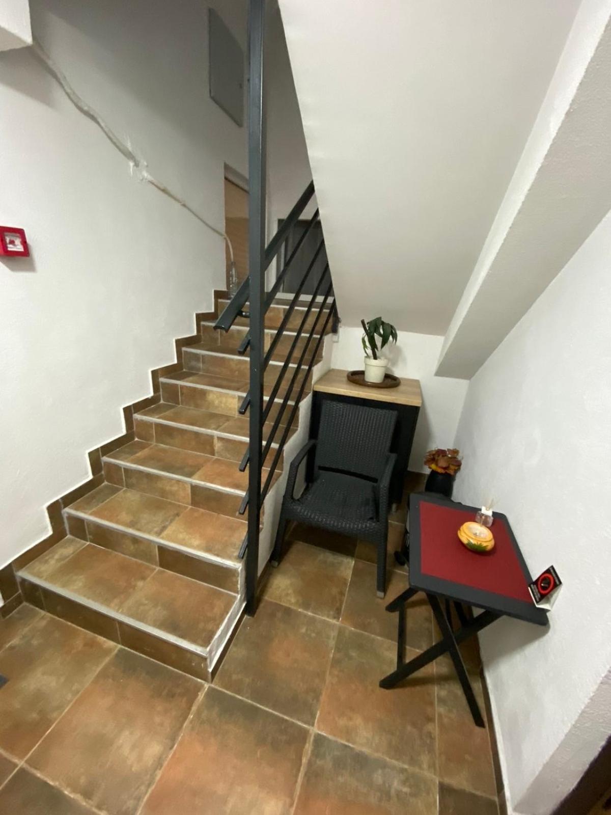 A6 Apartment نوفي ساد المظهر الخارجي الصورة